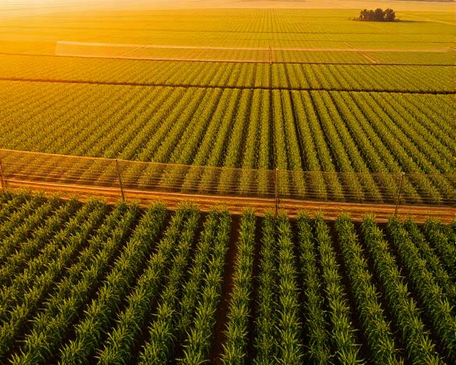 Agriculture